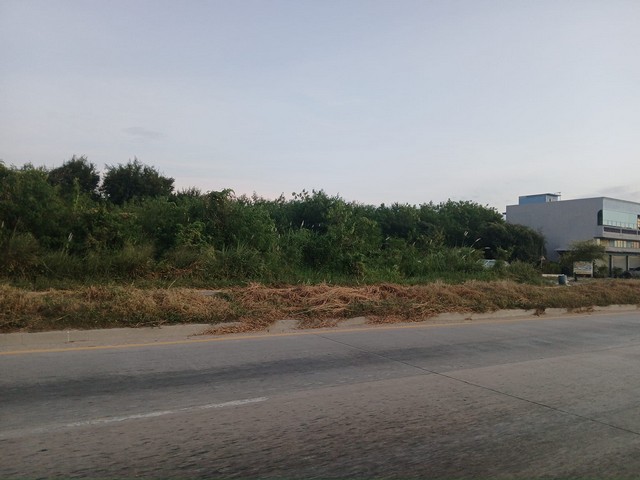 ขายที่ดินเปล่า แปลงสวยสวย ติดถนน 4 เลนส์  เส้นพนัสนิคม - บ้านบึง - หนองชาก 11ไร่ 1 งาน 98 ตารางวา 