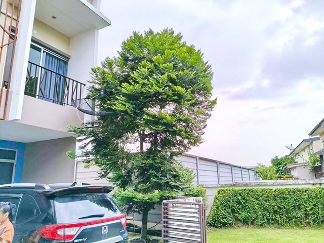 หัวมุมให้เช่า ทาวน์โฮม 2 ชั้น ติวานนท์-แจ้งวัฒนะ โครงการแสนสิริ 3นอน 2น้ำ 2แอร์ โรบินสัน ศรีสมาน 4.5กม. เซ็นทรัล แจ้งวัฒนะ 3.8 กม.