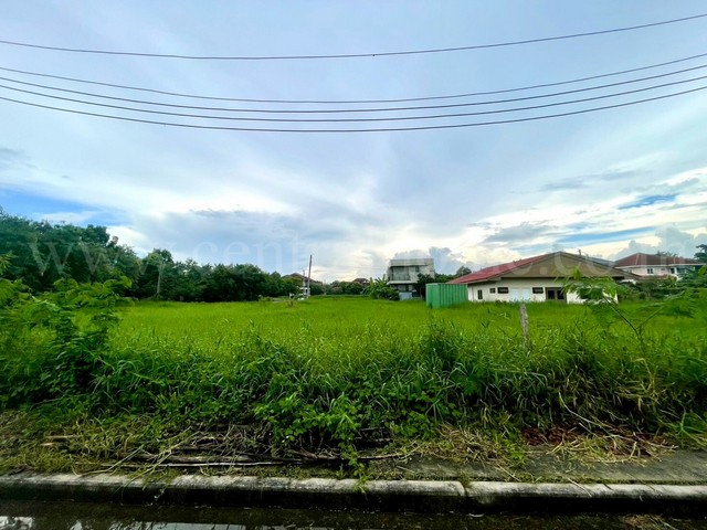 ที่ดินเปล่า 246 ตร.วา ปัญญาเลคโฮม ถนนนิมิตใหม่ 28 คลองสามวา 