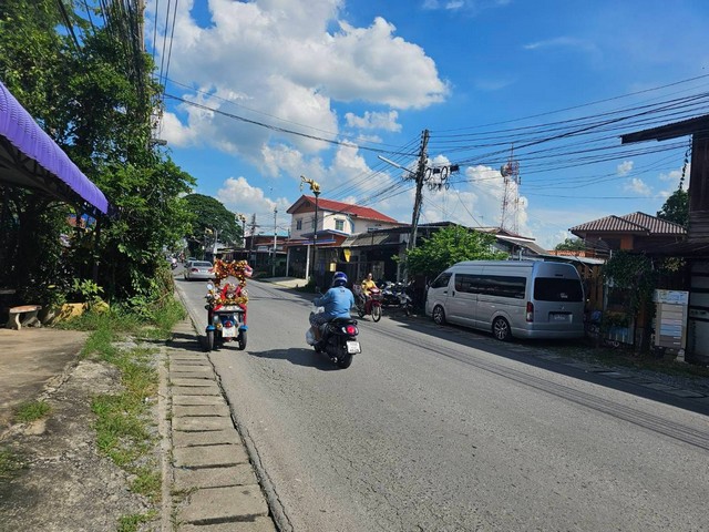 ขาย สวนทุเรียน อำเภอหลังสวน จังหวัดชุมพ เนื้อที่ 12 ไร่ 2 งาน 90 ตารางวา