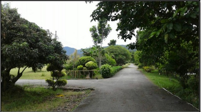 ขายที่ดิน115ไร่ 55ลบ. ผ่อนได้ ฟรีโอน บ้านยุโรป3หลัง สาธารณูปโภคครบ เหมาะทำรีสอร์ท คาเฟ่ ที่เที่ยว เกษตร ใกล้เทศบาล ต.ทากาศ อ.แม่ทา ลำพูน