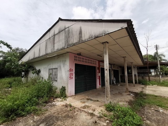 ขาย ที่ดินพร้อมสิ่งปลูกสร้าง บ้านนา ชุมพร PTT68-000237