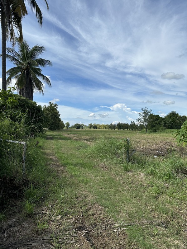 ขายที่ดินเปล่า 28 ไร่ 1 งาน 39 ตร.ว. – ต.พิชัย อ.คอรุม จ.อุตรดิตถ์