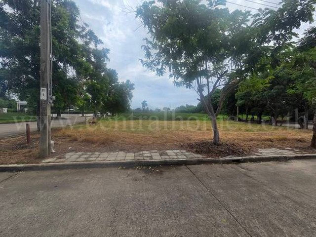 ที่ดินเปล่า 115 ตร.วา กฤษดาซิตี้ เลค แอนด์ พาร์ค ต่ำประเมิณ