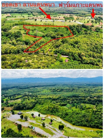 ขายที่ดิน อำเภอปัว จังหวัดน่าน เนื้อที่ 20 ไร่ วิวสวย อากาศดี ติดถนน ติดน้ำ 