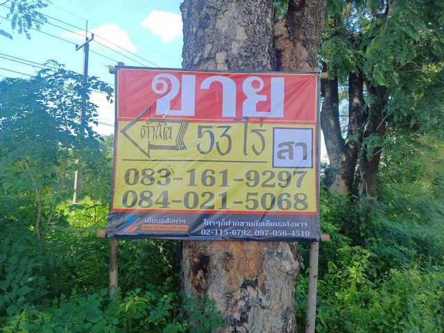 ขายที่ดิน  53-0-0 ไร่  ราคาถูก ทำเลดี ติดถนนสายหลัก  บ้านเนินมะครึด  วัดโบสถ์   พิษณุโลก   ZK566