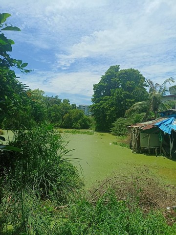 ที่ดินสวย 5 ไร่ บางกระดี เมืองปทุมธานี ราคาพิเศษ!ที่ดินเปล่าราคาคุ้มค่า