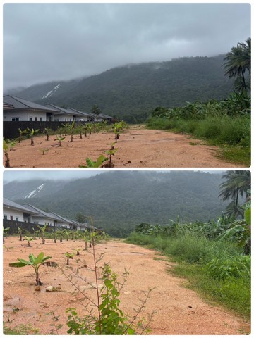 ขายที่ดินติดถนนเพชรเกษม 2 ไร่ 70 ตารางวา อำเภอเมืองระนอง จังหวัดระนอง