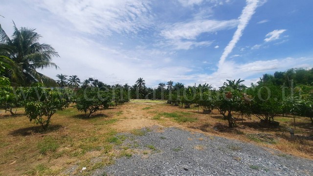 ที่ดินเปล่า 1 ไร่ 2 งาน สามพราน - นครปฐม ราคาถูก ใกล้สวนสามพราน ทำเลดี