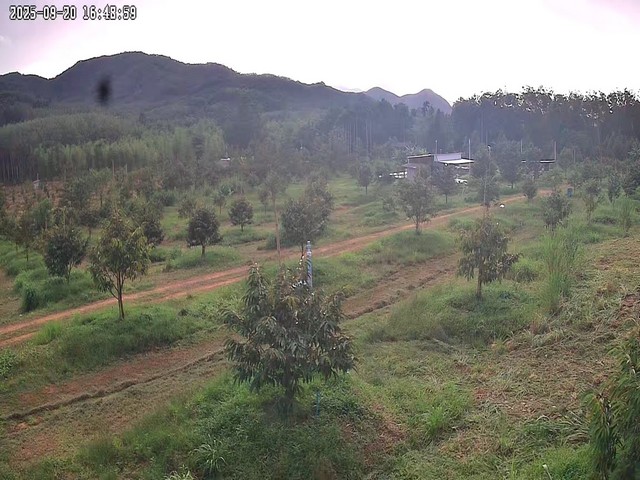  ขายที่ดินสวนทุเรียนแสนรักแบบตัดใจขายสุดๆ ทำเลทองระยองสวยมากๆ ตำบลวังหว้า อำเภอแกลง จังหวัดระยอง