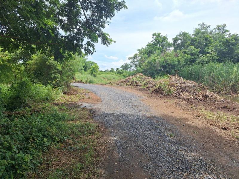 ##ที่ดินเปล่า 72 ตรว, 1.5แสน, ภาชี อยุธยาโซน : ภาชี  พระนครศรีอยุธยาที่ตั้ง :  ต.โคกม่วง  อ.ภาชี  จ.พระนครศรีอยุธยาลักษณะโดยทั่วไป- ที่ดินเปล่า เนื้อที่ 72 ตรว., ติดถนนสาธารณะ- รูปแปลงสี่เหลี่ยม หน้ากว้าง  12 เมตร ลึก 25 เมตร- ต.โคกม่วง  อ.ภาชี  จ.พระนครศรีอยุธยา- ใกล้แหล่งชุมชน เดินทางสะดวกสบาย, บรรยากาศธรรมชาติ- ขายราคาพิเศษ!! เพียง 1.5 แสนบาท จองก่อนได้ก่อน มีแปลงเดียวเท่านั้น- เหม