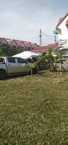 ขายที่ดิน ซอยมาบสอง ค่ายมวย 13 อำเภอบางละมุง จังหวัดชลบุรี เนื้อที่ 150 ตารางวา