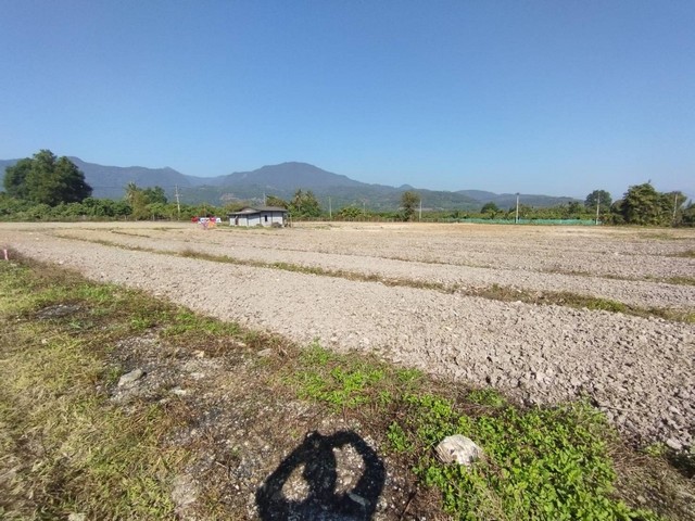 ขายที่ดินสวย บ้านห้วยฮ้อม ต.แม่สูน อ.ฝาง จ.เชียงใหม่เนื้อที่รวม 16 ไร่ 3 งาน 3.0 ตารางวา ราคาไร่ละ 450,000 บาท ราคาขายยกแปลงเพียง 7,540,875 บาท เท่านั้น จุดเด่นของที่ดินเอกสารสิทธิ์ โฉนดครุฑแดง ถูกต้องตามกฎหมายมี บ่อน้ำในพื้นที่ ใช้ได้ตลอดปีมี ไฟฟ้าพร้อมใช้ถนนคอนกรีต รถยนต์เข้าออกสะดวกมี บ้านพักคนงาน 1 หลัง พร้อมใช้งาน ทำเลที่ตั้ง: ตำบลแม่สูน อำเภอฝาง จังหวัดเชียงใหม่เด