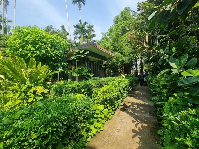 ขายที่ดินพร้อมรีสอร์ทสวนผึ้ง บางเสร่ สัตหีบ ชลบุรี FP-L01342 