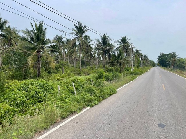 ขายที่ดินหนองเสือปทุมธานี ขายที่ดินคลอง9ปทุมธานี .บึงบอน อ.หนองเสือ  จ.ปทุมธานี เนื้อที่ 147-0-20  ไร่       