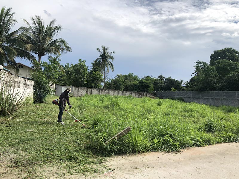 รับตัดต้นไม้ ในเขตเมืองพัทยา อ.บางละมุง พื้นที่ใกล้เคียง รับตัดต้นไม้ รับตัดกิ่งไม้ รับตัดหญ้า รับกำจัดวัชพืช รับฉีดยาฆ่าหญ้า ในราคาย่อมเยาว์ พร้อมเคลียร์พื้นที่ ขนทิ้ง โทร 062-5324935 Line ID. 0625324935