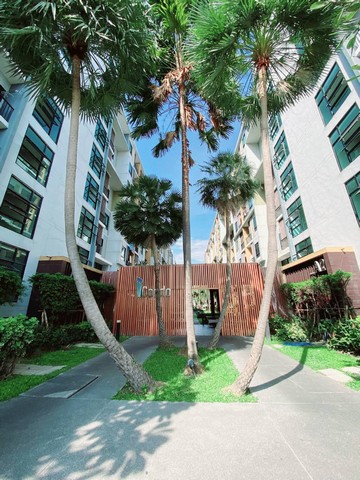 ขายไอคอนโดสุขุมวิท 105 ขายคอนโดลาซาลสุขุมวิท ขนาด1 ห้องนอน 1 ห้องน้ำเฟอร์นิเจอร์ครบพร้อมอยู่