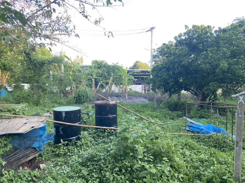 ขายที่ดิน 239ตรว. 1.55ลบ. ถนน น้ำ ไฟฟ้า ใกล้ รร.แม่ออนวิทยาลัย ต.ร้องวัวแดง อ.สันกำแพง เชียงใหม่