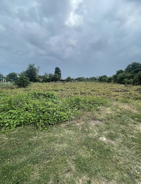 BL171 ขายที่ดิน 5 ไร่ 1 งาน 88 ตารางวา | อำเภอกำแพงแสน จังหวัดนครปฐม