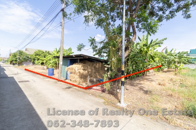 ขายที่ดิน ซ.สวนผัก ปทุมธานี ใกล้วัดหนองปรง ทำเลทอง ราคานี้หายากสุดๆ