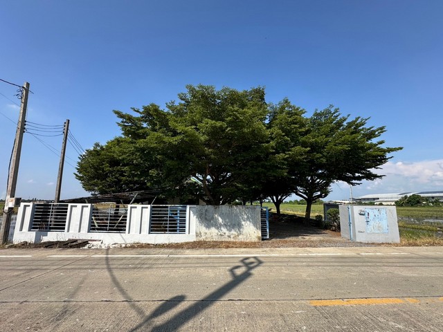  ขายที่ดินพร้อมโรงงาน ทำเลทองในนนทบุรี ไทรน้อย บางบัวทอง ขนาด 10 ไร่ 198 ตร.วา ติดถนน 5024 สะดวกสบายสำหรับการดำเนินธุรกิจ จุดเด่นที่คุณไม่ควรพลาด:ที่ดินถมเรียบร้อย พร้อมใช้งานเหมาะสำหรับโรงงานแปรรูปการเกษตรน้ำและไฟฟ้าเข้าถึงอย่างสะดวกใกล้ถนนหลัก บางบัวทอง-สุพรรณบุรี ราคาขาย 15,500,000 บาทรายละเอียดพื้นที่:ขนาดรวม: 10 ไร่ 198 ตร.วากว้าง 20 เมตรลึก 835 เมตร สถานที่สำคัญใกล้