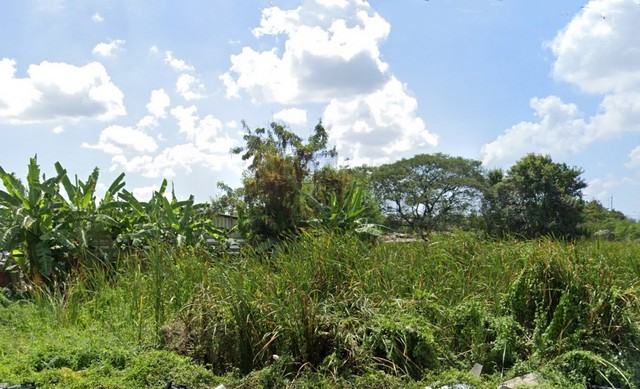 ขายที่ดินเปล่า ทำเลดี 100 ตร.ว. นิมิตรใหม่ มีนบุรี คลองสามวา เดินทางสะดวก กรุงเทพฯ 