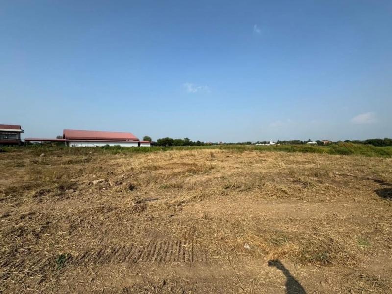 ขายที่ดินเปล่า ทำเลดี ใกล้ชุมชน ติดถนนลาดยาง อำเภอเมือง จังหวัดอ่างทอง