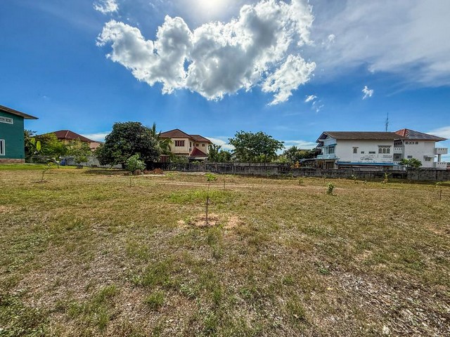 ขายที่ดินไร่กล้วย ศรีราชา แปลงสวย ไม่พลุกพล่านเงียบสงบ ชลบุรี FP-L01369 