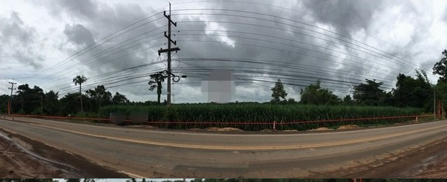 ขายที่ดินว่างเปล่ามือสอง         อำเภอป่าติ้ว  ยโสธร