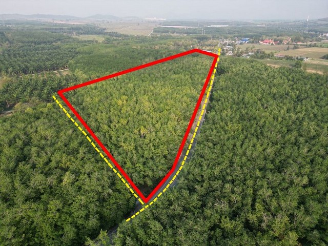 ขายที่ดินใกล้นิคมWHA หนองขาม ศรีราชา ชลบุรี FP-L01383   