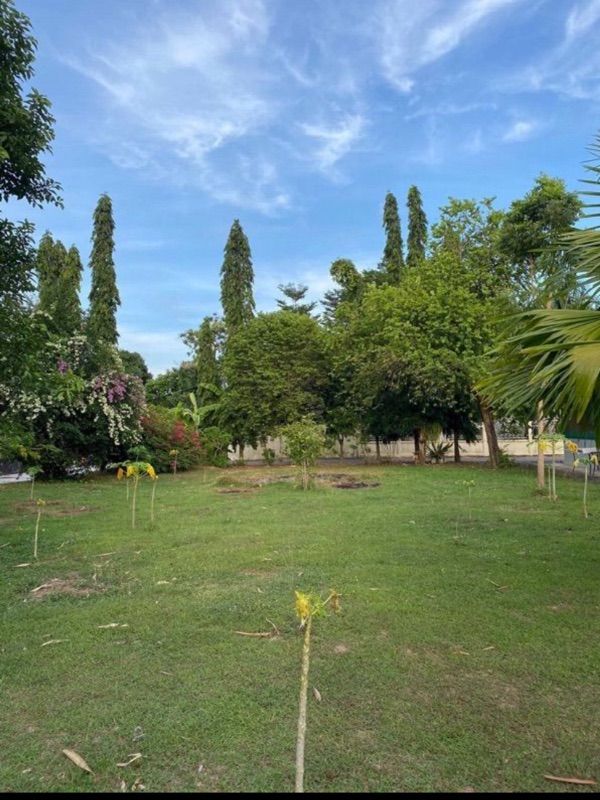 ขายที่ดินเปล่า ทำเลดี ติดถนน ตำบลฉลอง  อำเภอเมือง จังหวัดภูเก็ต