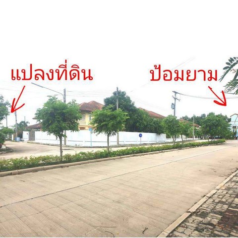 ที่ดินแปลงมุม ในหมู่บ้าน ขายถูก ราคาต่ำกว่าประเมินกรมที่ดิน เหมาะปลูกบ้านอาศัย