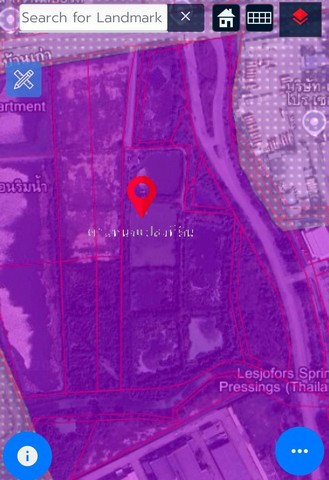 ขายที่ดินพานทองชลบุรี ขายที่ดินบ้านเก่า 19 ไร่ พื้นที่สีม่วงเข้ม ทางเข้าอมตะเฟส 6