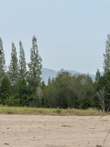 ขายที่ดิน เจ้าของขายเอง  5 ไร่ 87 ตารางวา ตำบลเขากระปุก อำเภอท่ายาง จังหวัดเพชรบุรี ที่ตั้ง : ตำบลเขากระปุก อำเภอท่ายาง จังหวัดเพชรบุรี 76310https://maps.app.goo.gl/mBCSNddBSUx5qp7x6?g_st=ilขนาดที่ดิน : 5 ไร่ 87 ตารางวารายละเอียดที่ดินเจ้าของขายเองน้ำไม่ท่วม ที่ดินไม่ต้องถมเป็นเนินสูงค่ะยกแปลง 5 ไร่ ไร่ละ 6.9 แสนแบ่ง 2 ไร่ 2 งานได้ค่ะโฉนดครุฑแดง เดินทางไปทะเลชะอำ หรือทะเลหัวหินประมาณ 30 นาทีที่ดินติ