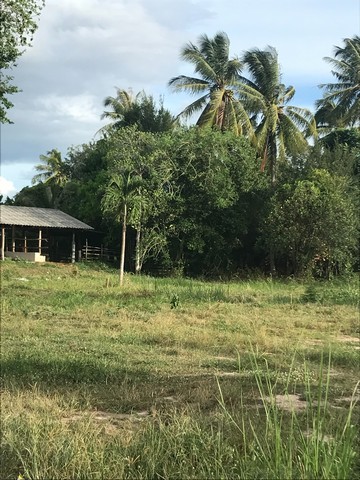 ขายที่ดินวิวธรรมชาติ เจ้าของขายเอง 1 ไร่ 2 งาน ตำบลเขากระปุก อำเภอท่ายาง จังหวัดเพชรบุรีที่ตั้ง : ตำบลเขากระปุก อำเภอท่ายาง จังหวัดเพชรบุรี 76130https://maps.app.goo.gl/wN72L4V29P73f3nF8?g_st=ipcขนาดที่ดิน : 1 ไร่ 2 งานรายละเอียดที่ดิน 1 ไร่ 2 งาน (600 ตรว.) ไร่ละ 5.9 แสน ยกแปลง 880,000.- ต.เขากระปุก อ.ท่ายาง อยู่เขตติดต่อ ต.ห้วยทรายเหนือ อ.ชะอำ เอกสารโฉนดครุฑแดง อยู่ในเขตชุมชน มีเพื่อนบ้านรอบ ๆในที่ดินมีขุดบ่อไ