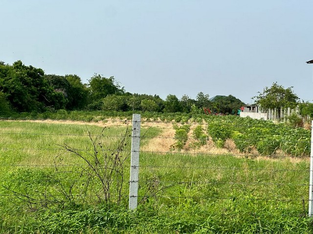 ขายที่ดินเปล่า แหล่งชุมชนห้วยกะปิ ทำเลดีมากๆ ติดถนนหลัก FP-L01394 