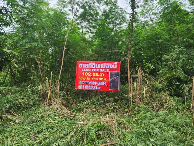 พื้นที่ดิน - 0 ไร่ 0 Ngan 102 ตร.วา  1300000 บาท บรรยากาศส่วนตัว