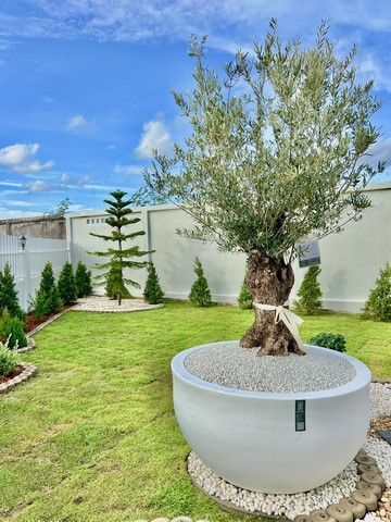 ขายบ้านเดี่ยวชั้นเดียวบ. รวิพร หนองไม้แก่น ซอยเนินพลับหวาน บางละมุง ชลบุรี