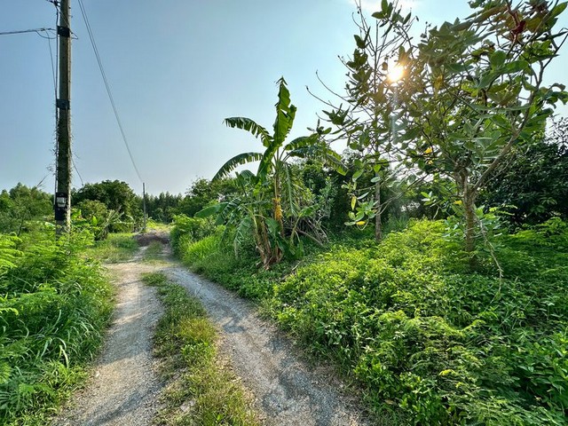 ขายที่ดินเปล่าแปลงสวย แหล่งชุมชน ห้วยกะป ชลบุรี FP-L01400