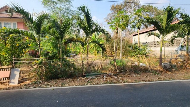 ขายที่ดินเปล่าอยู่อาศัย ขนาด 118 ตรว ปรุใหญ่ โคราช  ถนนราชสีมา-ปักธงชัย, ปรุใหญ่