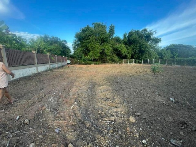 ขายที่ดินระยอง ตำบลเพ แปลงสวย ทำเลดี  ใกล้ทะเล FP-L01422 