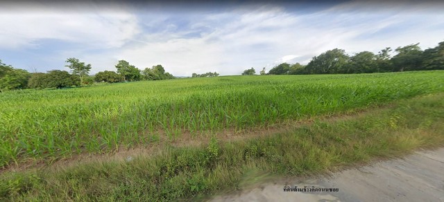       ขายที่ดิน เพชรบูรณ์ วังชมพู ที่ดินกว้างติดถนน สระบุรี-หล่มสัก เพียง 500 เมตร   เนื้อที่ 210-2-23 ไร่ 84,223 ตารางวา ขายไร่ละ 904,000 บาท ตารางวาละ 2,260 บาท    ขายรวม 190,343,980 บาท    ค่าใช้จ่ายในการโอนจ่ายฝ่ายละครึ่ง     สถานที่ใล้เคียง   - ไร่กำนันจุลเพียง 4.5 กิโลเมตร   - ห่างอำเภอเมืองเพชรบูรณ์เพียง 19 กิโลเมตร  - ตรงข้ามวัดช้างเผือก  ที่ดินอยู่ในพื้นที่สีชมพู ประเภทชุมชน วิวทิวเขา  ใช้ประโยช