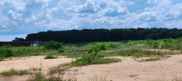 ขายที่ดินเนื้อที่ 22-0-00 ไร่ พิกัด ซอย 7 มะขามเดี่ยว นิคมพัฒนา  ผัง สีม่วงลาย