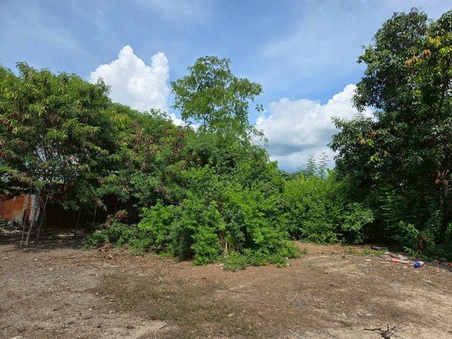 ขายที่ดินห้วยกะปิ ชลบุรี แปลงสวย ทำเลดี ใกล้จัตุจักรชลบุรี FP-L01462 