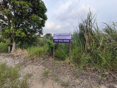 ขายที่ดินเปล่าบางนา ใกล้เมกาบางนา ทำเลอนาคต ต.บางพลีใหญ่ อ.บางพลี สมุทรปราการ