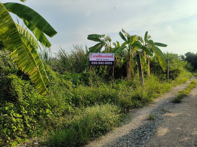 ขายที่ดินเปล่าบางนา ใกล้เมกาบางนา ต.บางพลีใหญ่ อ.บางพลี  สมุทรปราการ