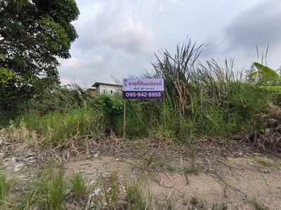 ขายที่ดินเปล่าบางนา ใกล้เมกาบางนา ทำเลอนาคต! ผังเมืองสีส้ม เหมาะสร้างบ้าน | ลงทุน | เก็งกำไร