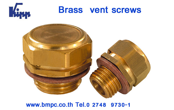 Oil plug, ปลั๊กอุดน้ำมัน, Pipe plug with external taper screw thread , Screw plug, Drain plug, น๊อตถ่ายน้ำมัน, Disc spring