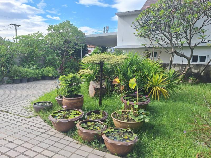 ##ขายที่ดินพร้อมบ้าน 2 หลัง หมู่บ้านเมืองเอก, ใกล้ตลาดสัมมากร, มหาวิทยาลัยรังสิต  จ.ปทุมธานีโซน : เมืองเอก  ปทุมธานีที่ตั้ง :  52/686  ต.หลักหก  อ.เมืองปทุมธานี  จ.ปทุมธานีลักษณะโดยทั่วไป- ที่ดินพร้อมบ้าน 2 หลัง ใกล้ตลาดสัมมากร, ม.รังสิต- หลังที่ 1 ด้านหน้าเป็นออฟฟิศ แบ่งเป็น 1 ห้องนอน,  1  ห้องน้ำ- หลังที่ 2 กั้นเป็น 2 ห้องนอน, 1 ห้องโถง, 3 ห้องน้ำ,  1 ห้องครัว- เนื้อที่  190   ตรว.,พื้นที่ใช