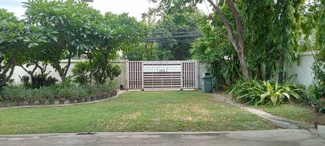 บ้านเดี่ยวหลังใหญ่ ทำเลทองใจกลางปากเกร็ด-สุขาประชาสรรค์ 1 ซอย 5ที่ดิน 353 ตรว. / พื้นที่ใช้สอยกว่า 500 ตร.ม. / ใกล้ทางด่วนและรถไฟฟ้าทำเลศักยภาพ – เดินทางสะดวก ใกล้เมืองทอง–แจ้งวัฒนะ–ศูนย์ราชการจุดเด่นที่คุณไม่ควรพลาด- บ้านหลังใหญ่ พื้นที่กว้างสุดในย่านนี้!บนที่ดินถึง 353 ตารางวา พร้อมพื้นที่ใช้สอยกว่า 500 ตร.ม.ออกแบบลงตัว เหมาะกับครอบครัวใหญ่หรือผู้ที่ต้องการบ้า